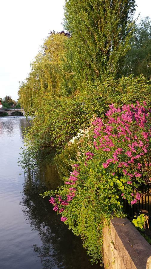 Ferienwohnung Villa Am Fluss ラウフ・アン・デア・ペーグニッツ エクステリア 写真